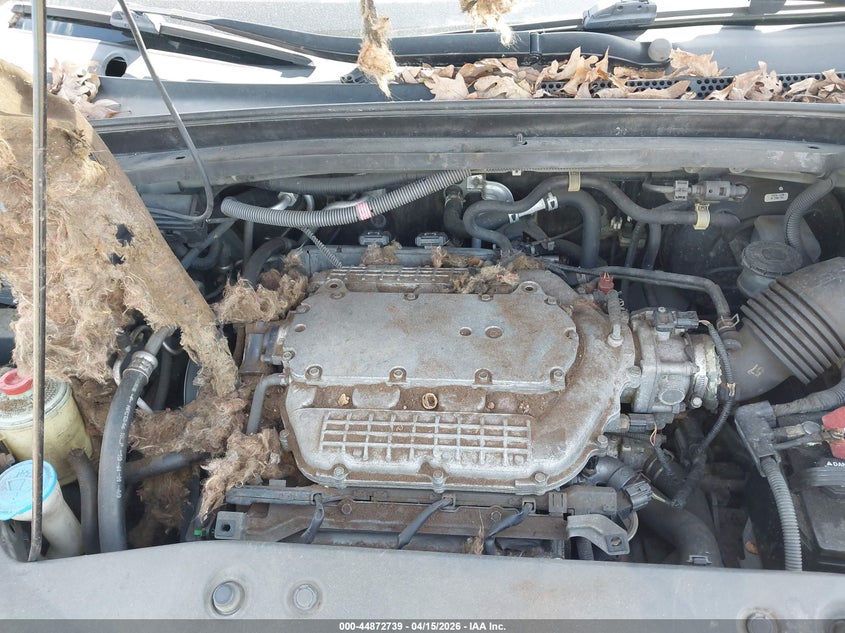 2007 Honda Odyssey Ex-L VIN: 5FNRL38717B005351 Lot: 44872739