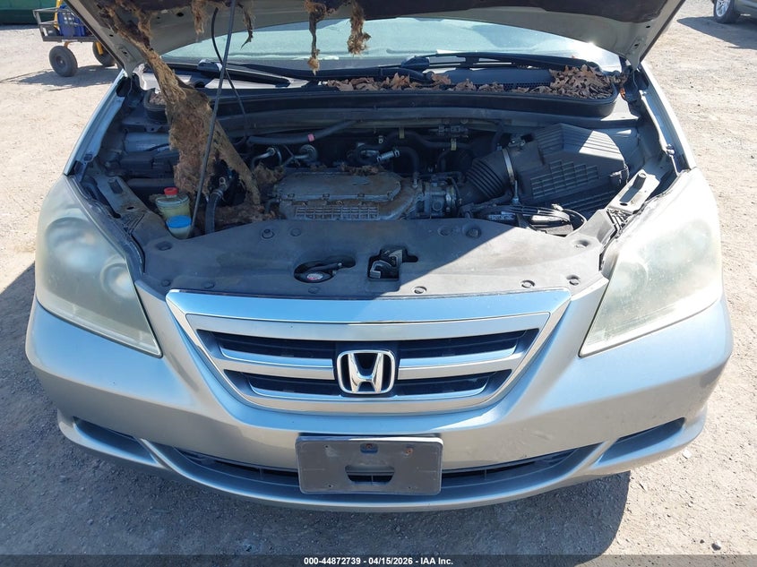 2007 Honda Odyssey Ex-L VIN: 5FNRL38717B005351 Lot: 44872739