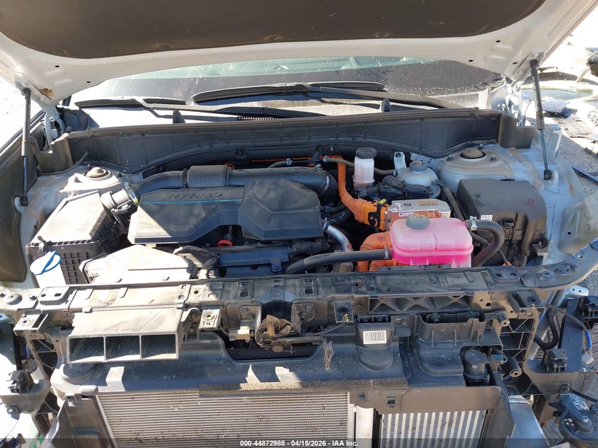 2025 Hyundai Santa Fe Hybrid Calligraphy VIN: 5NMP5DG16SH031701 Lot: 44872988