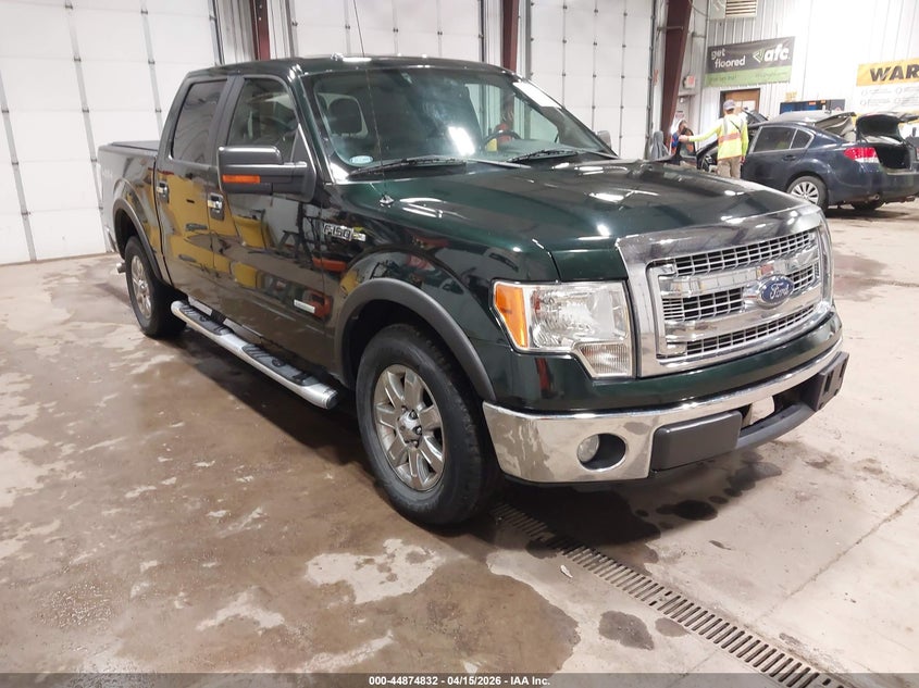 2013 Ford F-150 Xlt VIN: 1FTFW1ET8DKF96602 Lot: 44874832