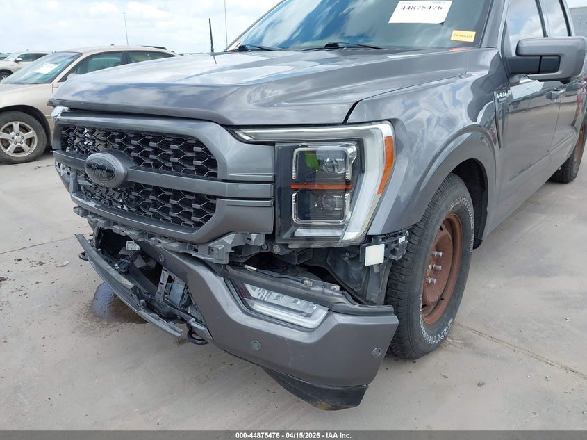 2021 Ford F-150 Platinum VIN: 1FTFW1E53MFB25788 Lot: 44875476