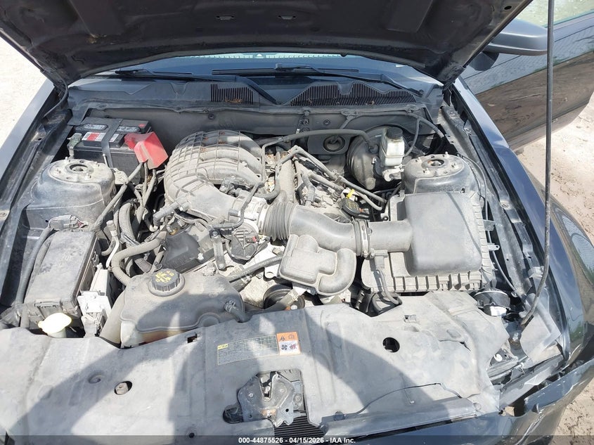 2013 Ford Mustang V6 VIN: 1ZVBP8AM8D5202546 Lot: 44875526