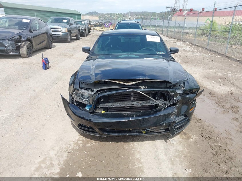 2013 Ford Mustang V6 VIN: 1ZVBP8AM8D5202546 Lot: 44875526
