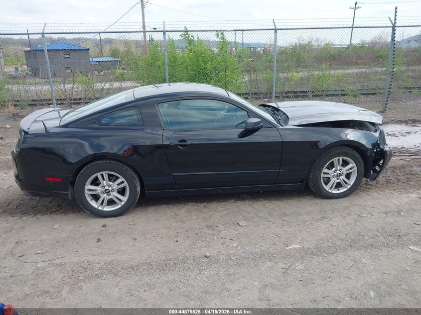 2013 Ford Mustang V6 VIN: 1ZVBP8AM8D5202546 Lot: 44875526