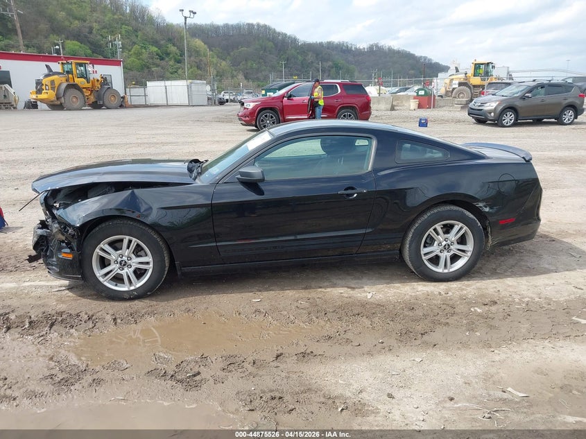 2013 Ford Mustang V6 VIN: 1ZVBP8AM8D5202546 Lot: 44875526