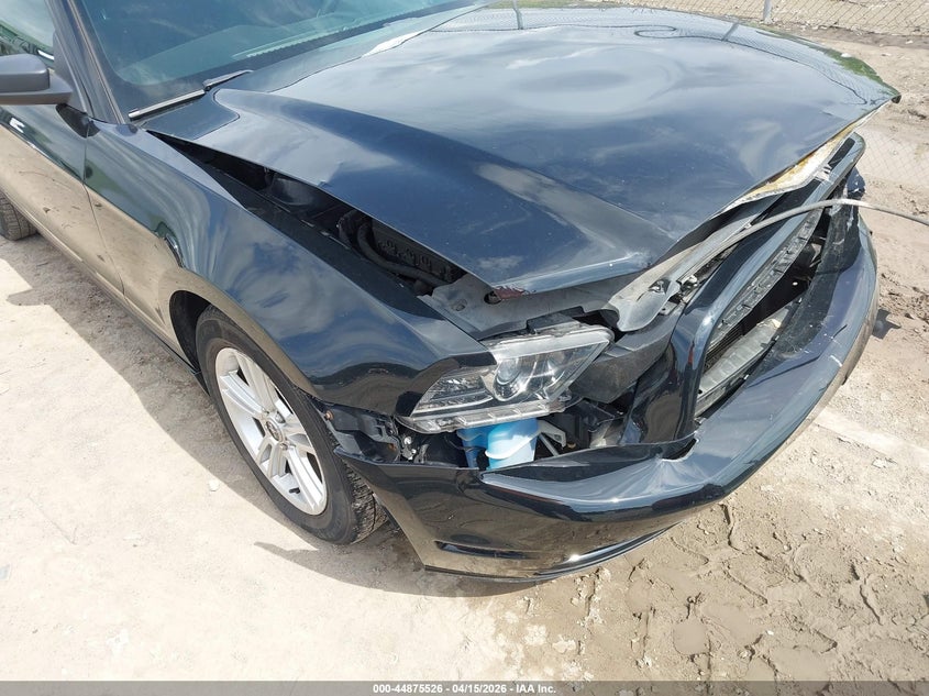 2013 Ford Mustang V6 VIN: 1ZVBP8AM8D5202546 Lot: 44875526