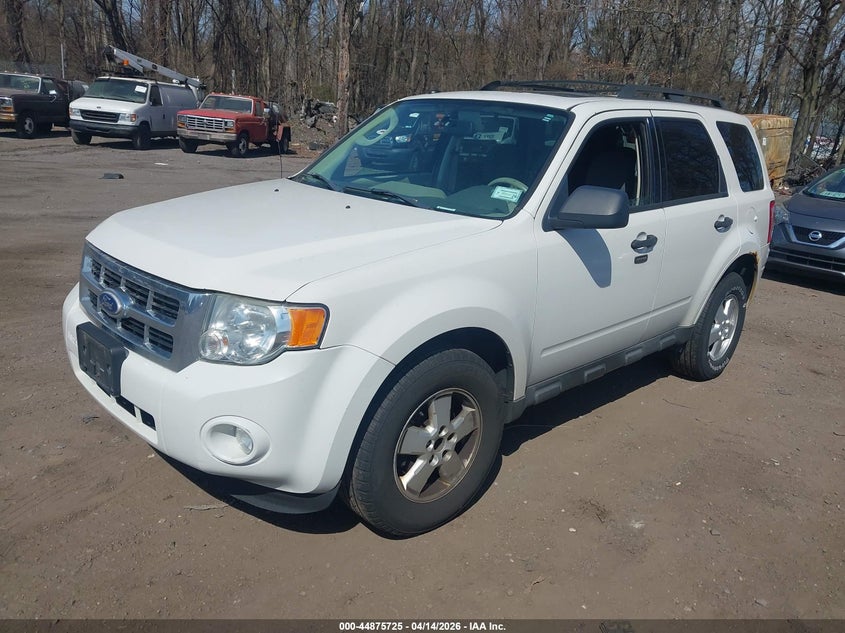 2010 Ford Escape Xlt