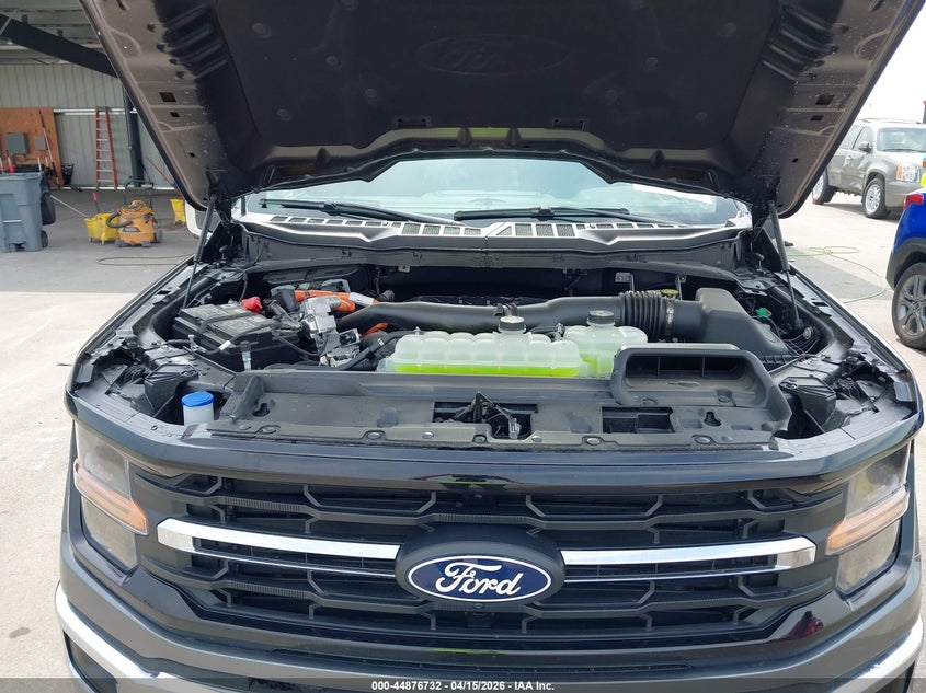 2025 Ford F-150 Xlt VIN: 1FTFW3LD6SFC50206 Lot: 44876732