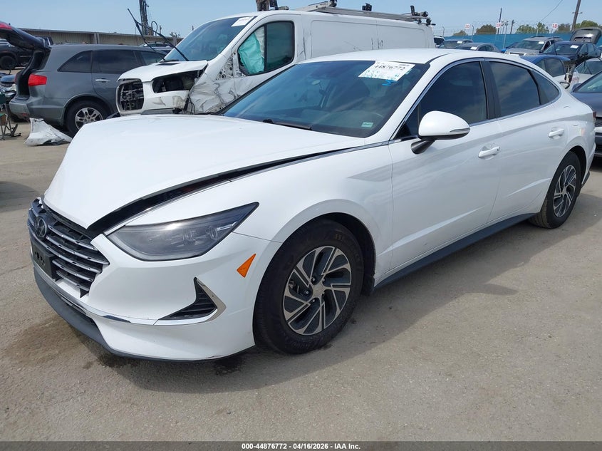 2023 HYUNDAI SONATA HYBRID auction photo 2