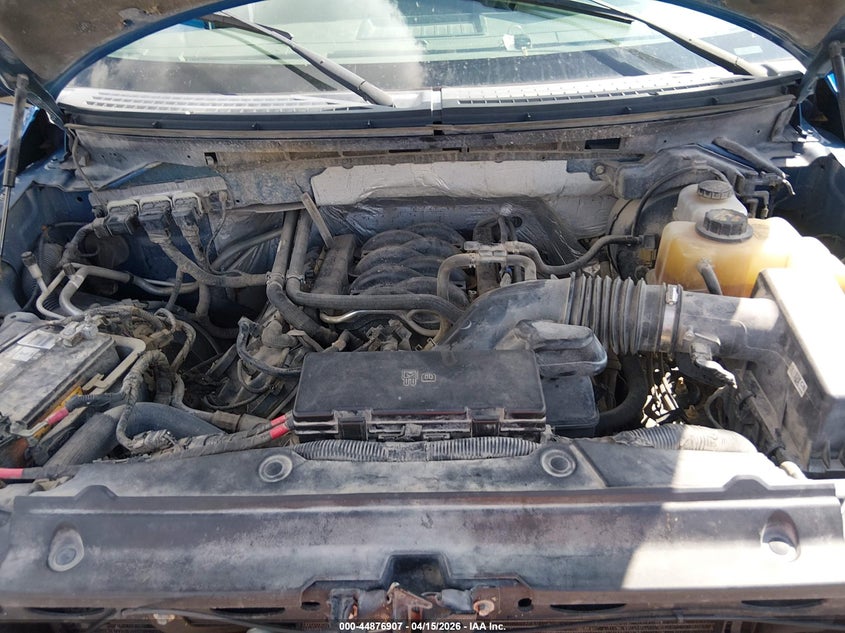 2013 Ford F-150 Xlt VIN: 1FTFW1EF0DKF41975 Lot: 44876907