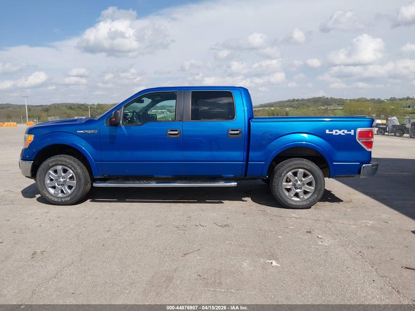 2013 Ford F-150 Xlt VIN: 1FTFW1EF0DKF41975 Lot: 44876907