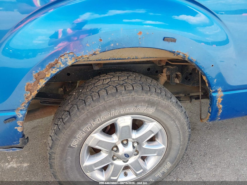 2013 Ford F-150 Xlt VIN: 1FTFW1EF0DKF41975 Lot: 44876907