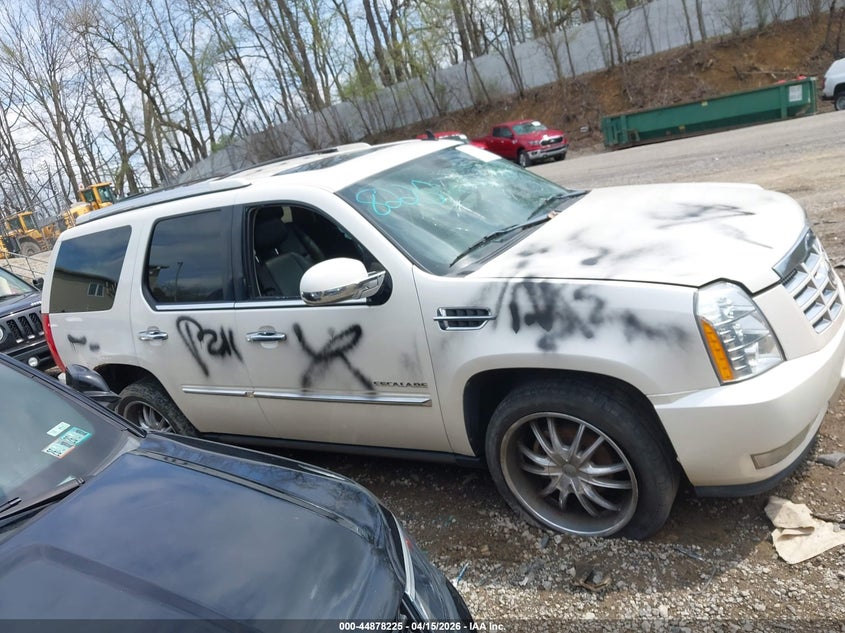2010 Cadillac Escalade Premium VIN: 1GYUKCEF2AR286533 Lot: 44878225