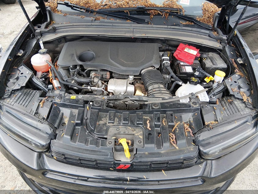 2024 Dodge Hornet R/T Eawd VIN: ZACPDFCW3R3A32445 Lot: 44879909