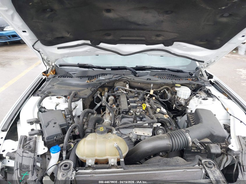 2021 Ford Mustang Ecoboost Fastback VIN: 1FA6P8TH1M5137565 Lot: 44879935