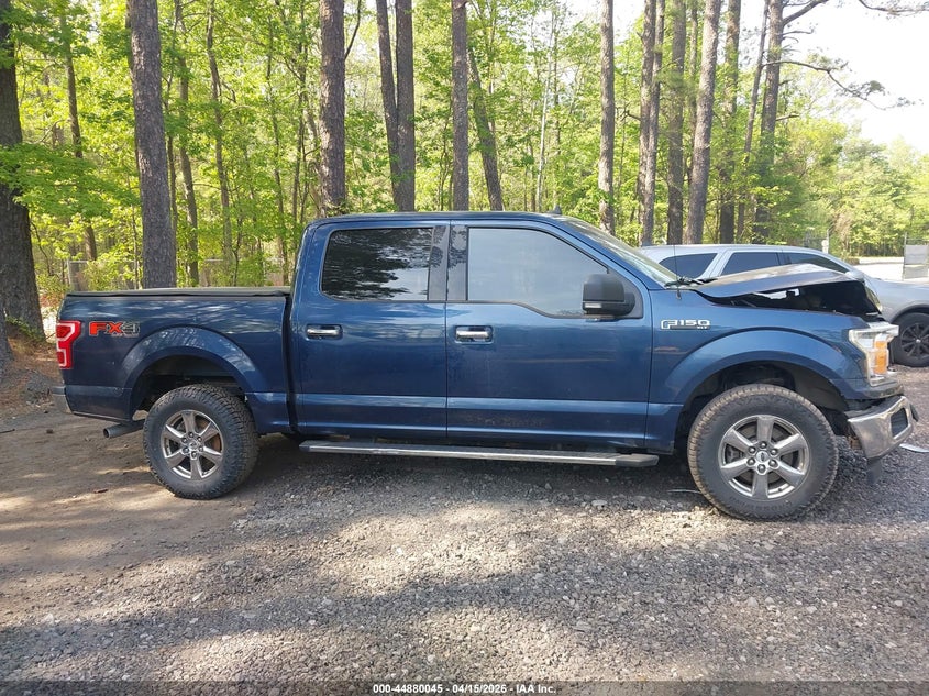 2019 Ford F-150 Xlt VIN: 1FTEW1E42KFD29613 Lot: 44880045