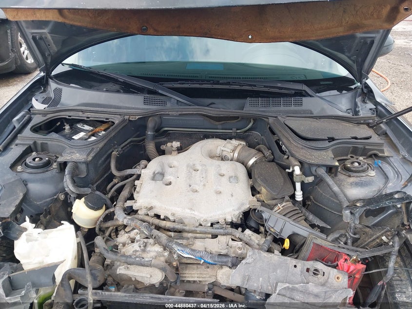 2006 Infiniti Fx35 VIN: JNRAS08W96X204819 Lot: 44880437