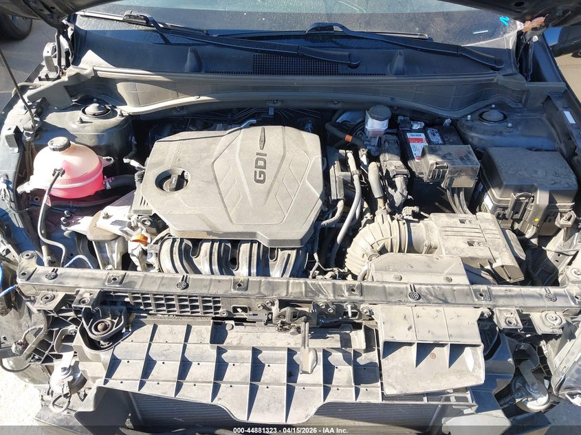 2024 Kia Sportage X-Line VIN: 5XYK6CDF1RG167482 Lot: 44881323