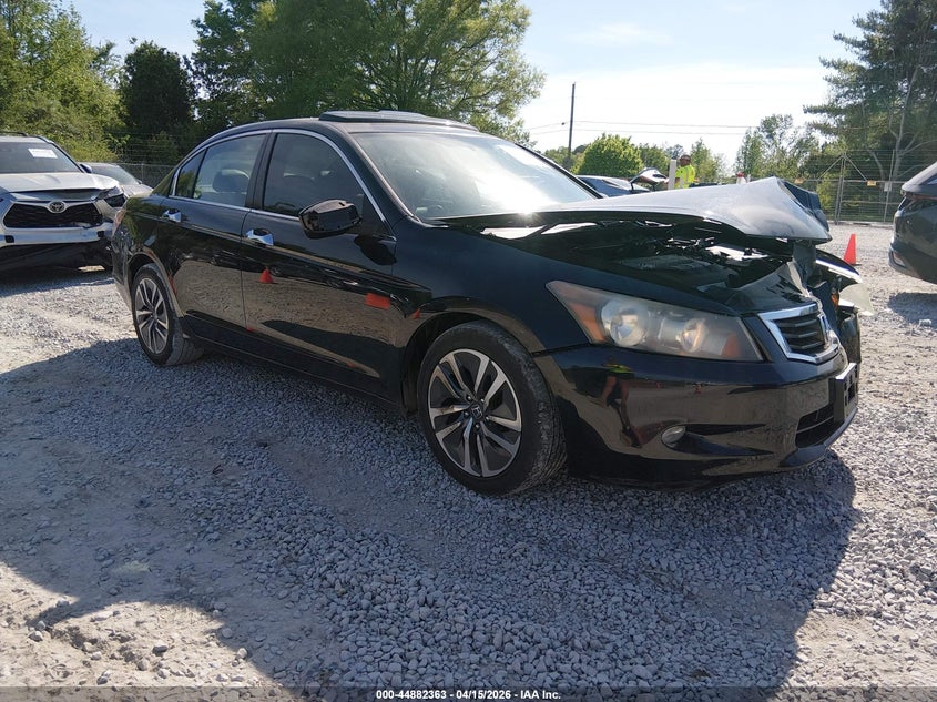 2010 Honda Accord