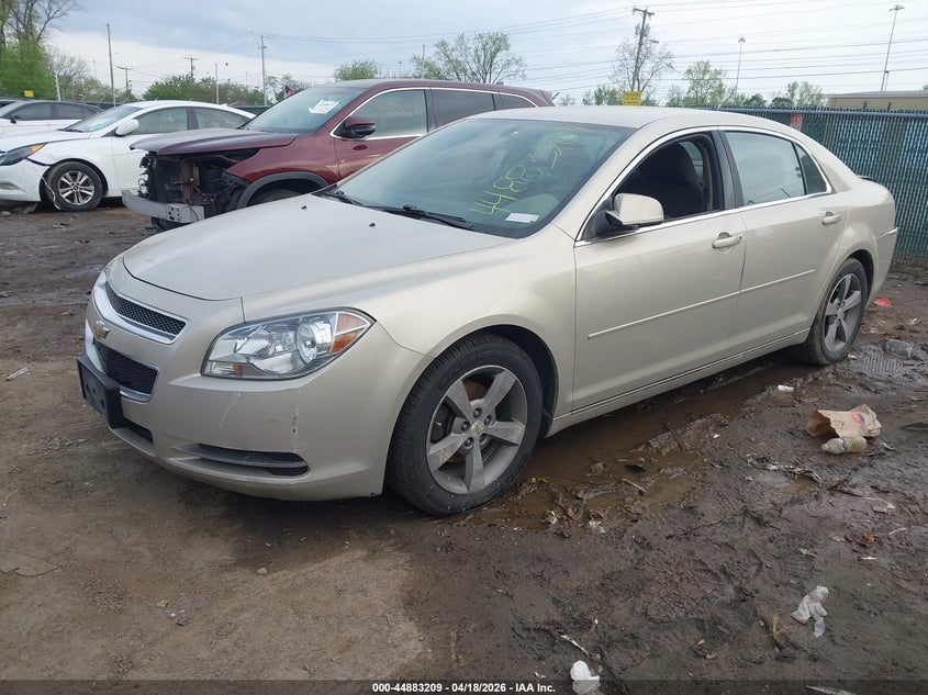2011 Chevrolet Malibu 1Lt