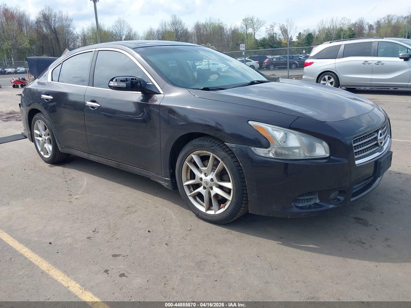 2010 NISSAN MAXIMA 3.5 SV