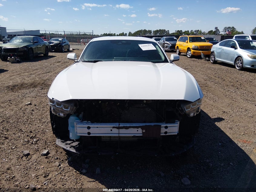 VIN 1FA6P8THXR5143601 2024 FORD MUSTANG ECOBOOST PREMIUM FASTBACK