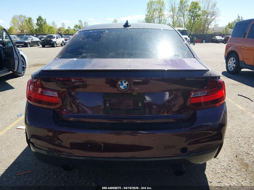 2014 BMW M235 VIN: WBA1J7C53EV253385 Lot: 44886870