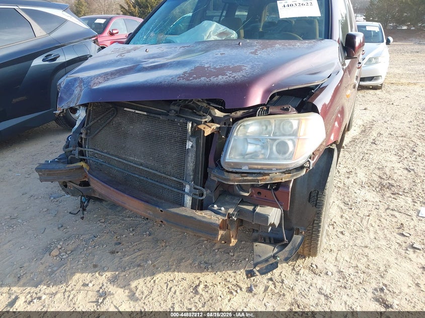 2007 Honda Pilot Ex VIN: 5FNYF18437B008765 Lot: 44887212