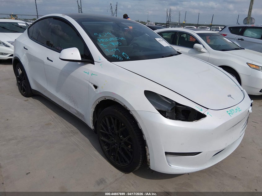 5YJYGDEE6MF114165 TESLA MODEL Y Photo 1
