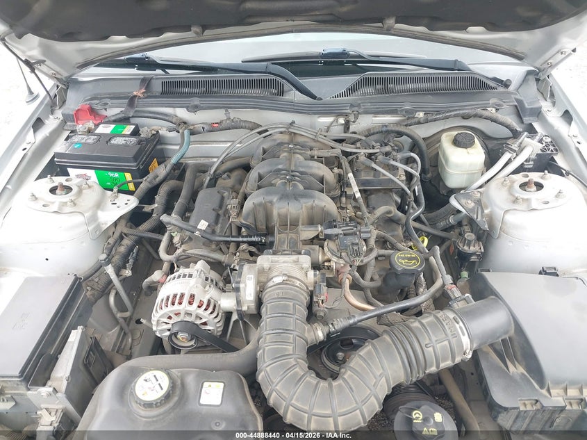 2006 Ford Mustang V6 VIN: 1ZVFT80N565127864 Lot: 44888440