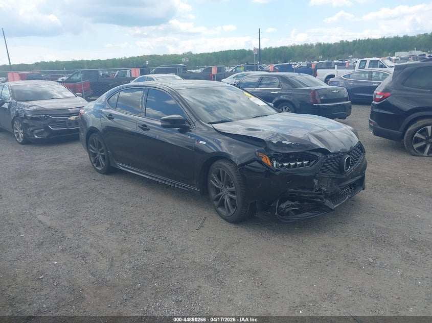 2019 Acura Tlx Tech A-Spec Pkgs
