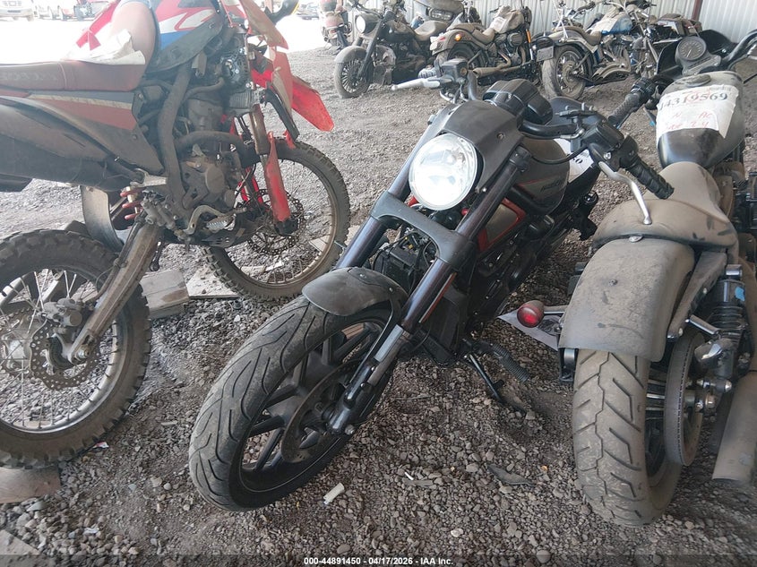 2014 Harley-Davidson Vrscdx Night Rod Special