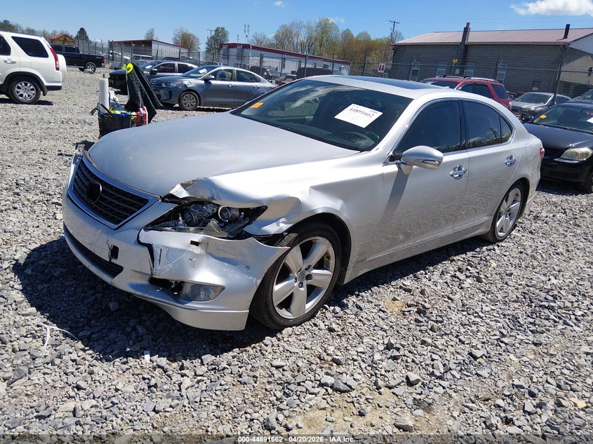 Vin: jthbl5ef3a5092752, lot: 45389008, lexus ls 460 20102