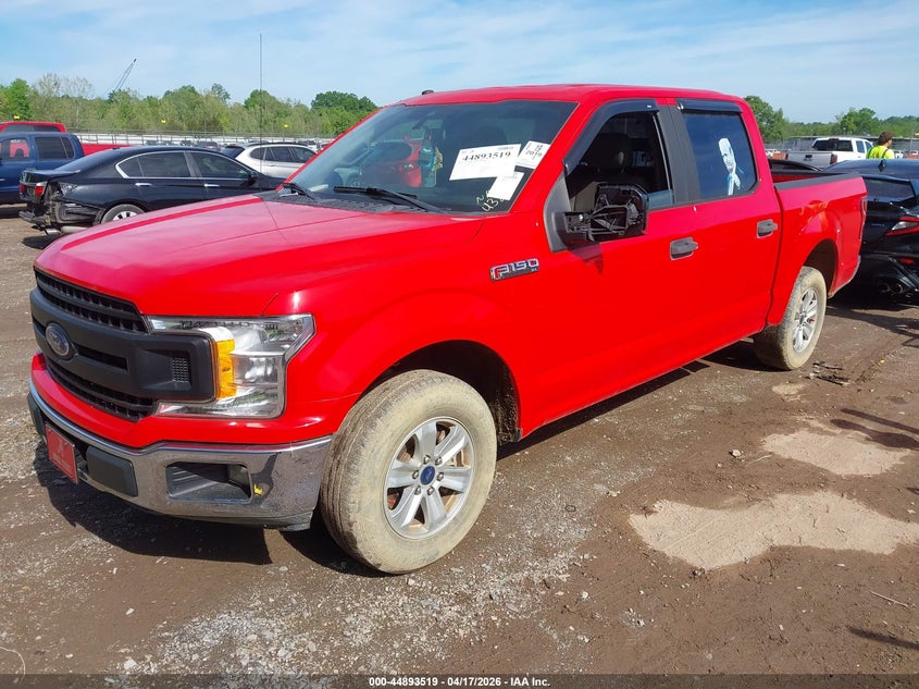 Vin: 1ftew1cp7kfb75901, lot: 45390883, ford f-150 xl 20192