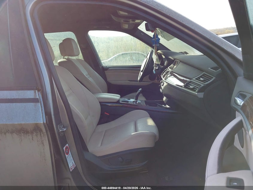 2011 BMW X5 xDrive35I/xDrive35I Premium/xDrive35I Sport Activity