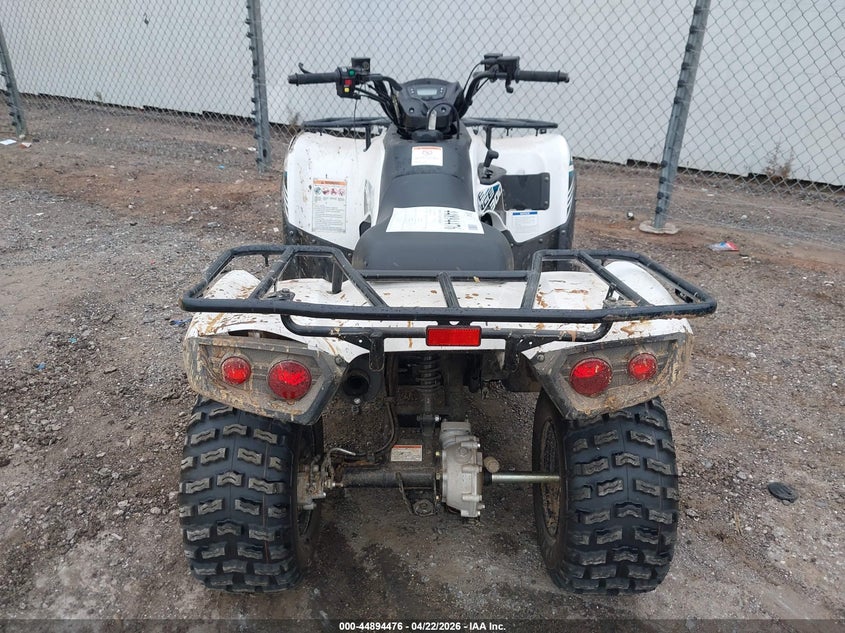 2023 Kawasaki Kvf300 C VIN: RGSWM22A0PBK34725 Lot: 44894476