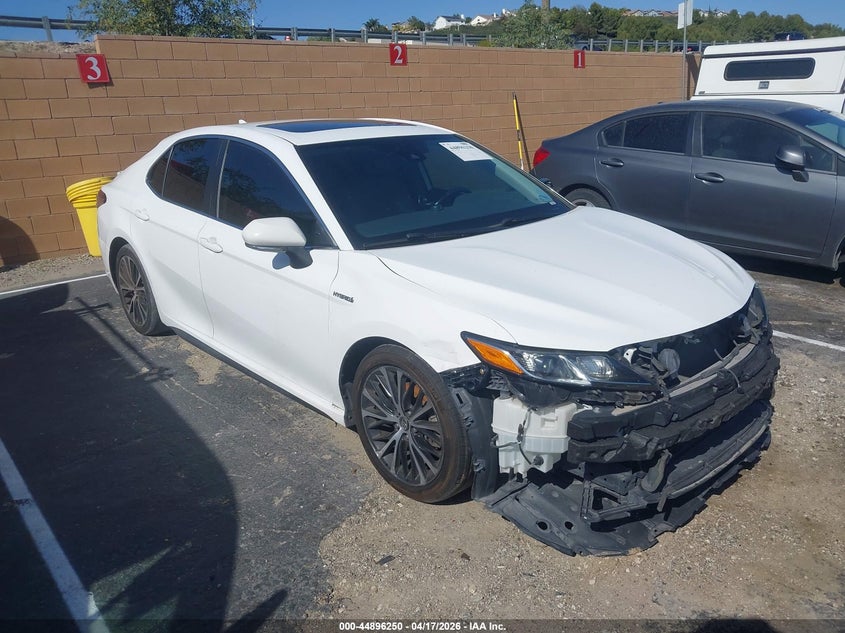 2019 TOYOTA CAMRY HYBRID SE — Галерея фотографий