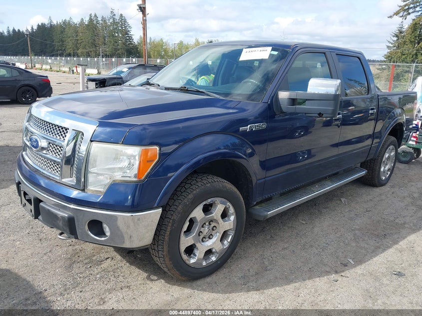 2010 Ford F-150 Fx4/Harley-Davidson/King Ranch/Lariat/Platinum/Xl/Xlt