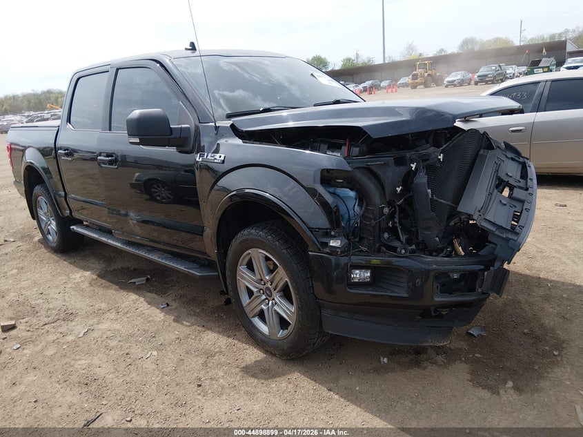 2019 FORD F-150 XLT