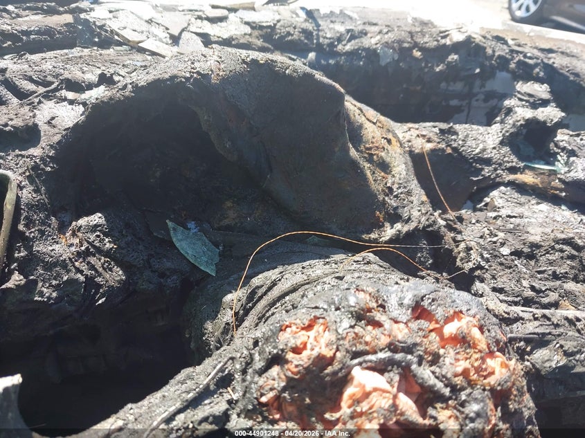 2017 Audi Q3 2.0T Premium VIN: WA1ECCFS0HR003411 Lot: 44901248