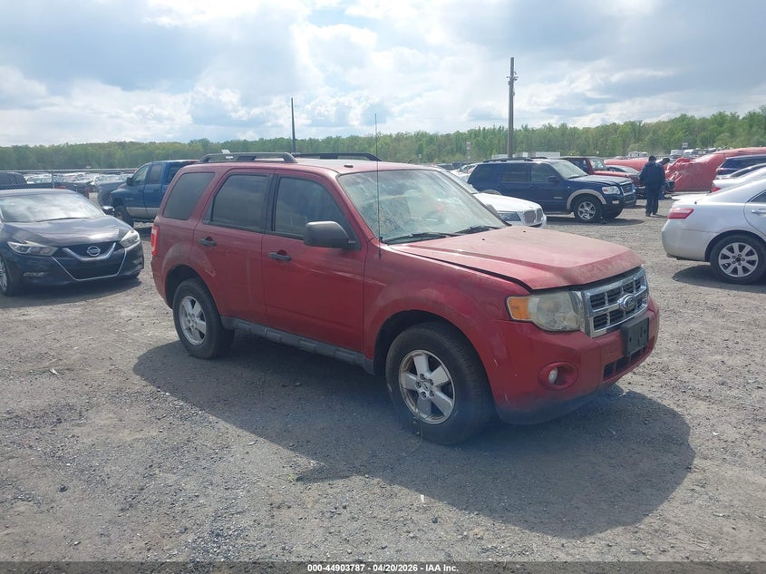 2010 Ford Escape Xlt