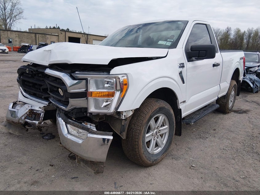 2022 Ford F-150 Xlt 1FTMF1EB4NKD30221 photo 1