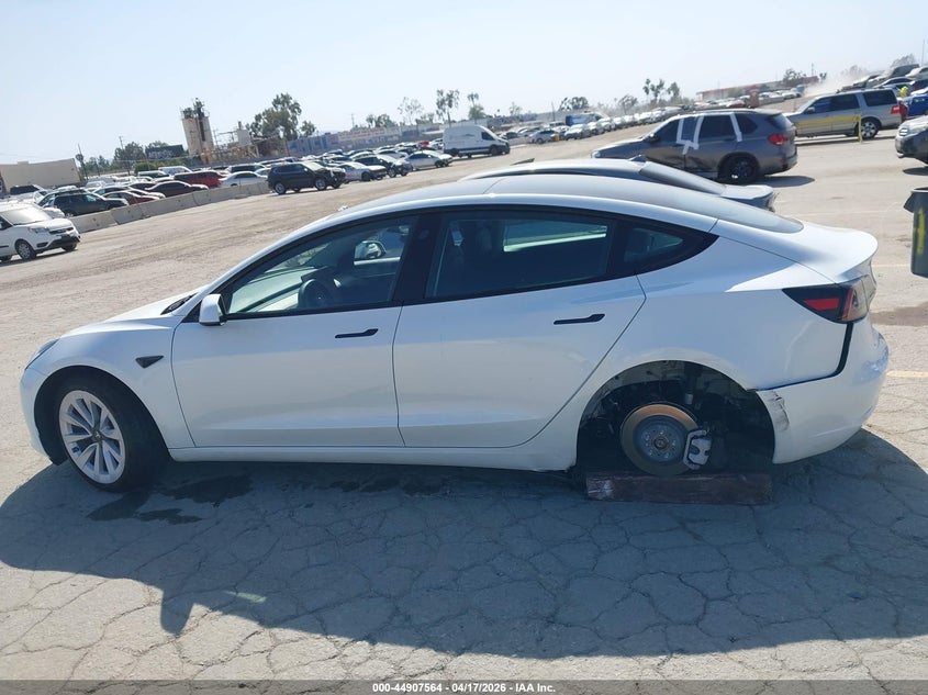 2023 Tesla Model 3 Rear-Wheel Drive VIN: 5YJ3E1EA6PF669391 Lot: 44907564