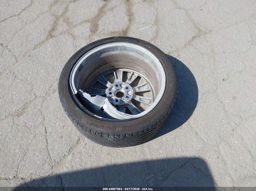 2023 Tesla Model 3 Rear-Wheel Drive VIN: 5YJ3E1EA6PF669391 Lot: 44907564