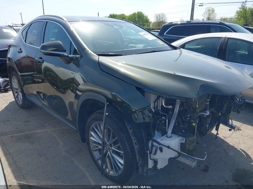 2024 Lexus Nx 350 Luxury