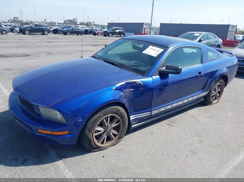 2005 Ford Mustang V6 Deluxe/V6 Premium