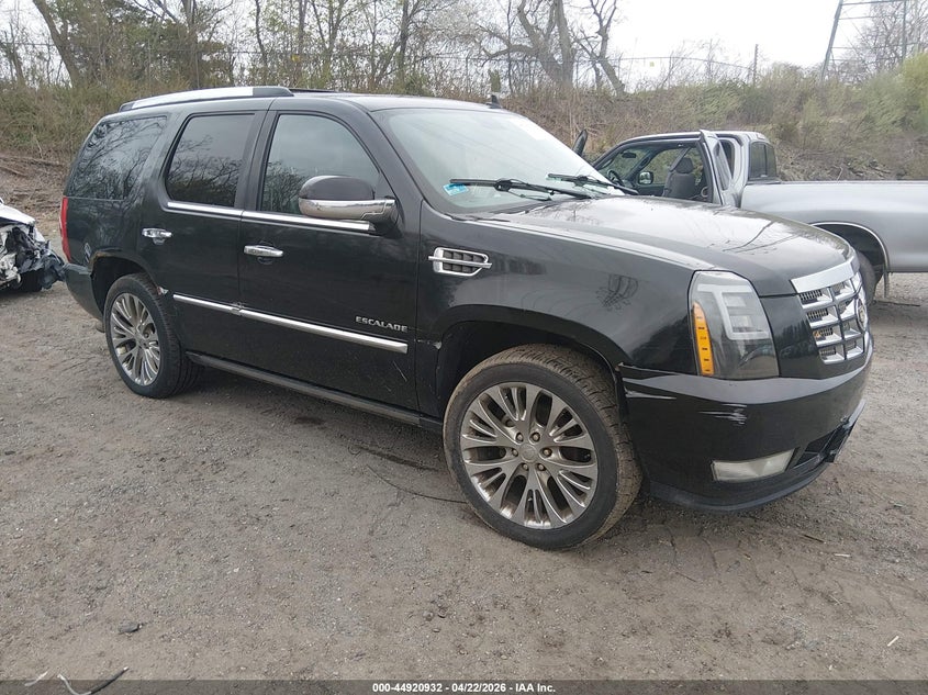 2010 Cadillac Escalade Premium