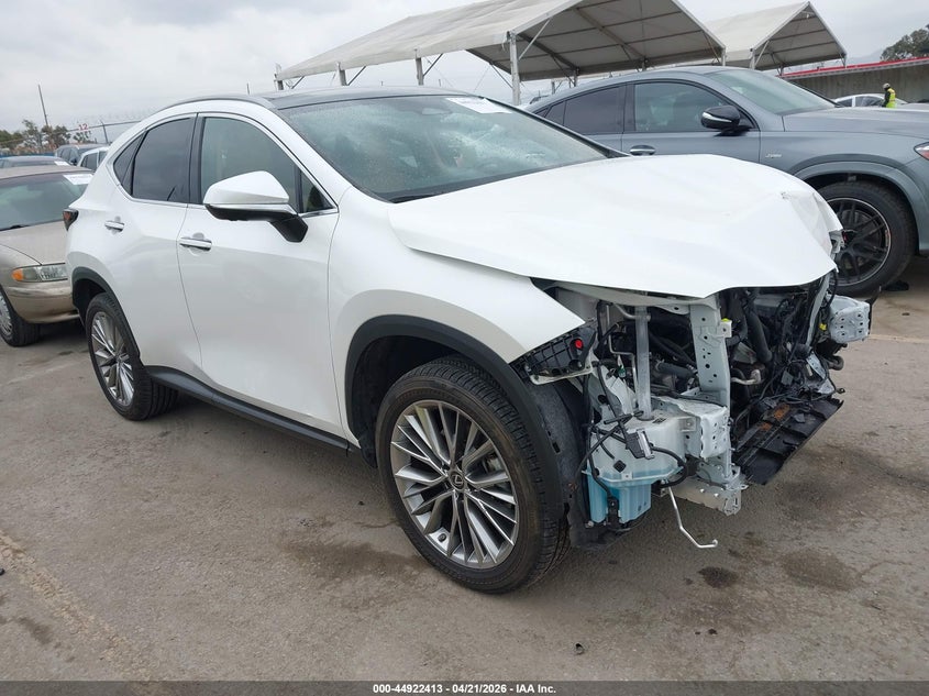 Vin: jtjhkcez3p2013472, lot: 45419792, lexus nx 350h luxury 2023 img_1