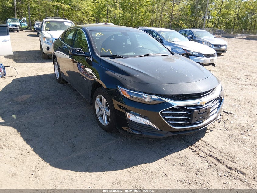 CHEVROLET MALIBU 2019. Lot# 44922847. VIN 1G1ZB5ST0KF198951. Photo 1
