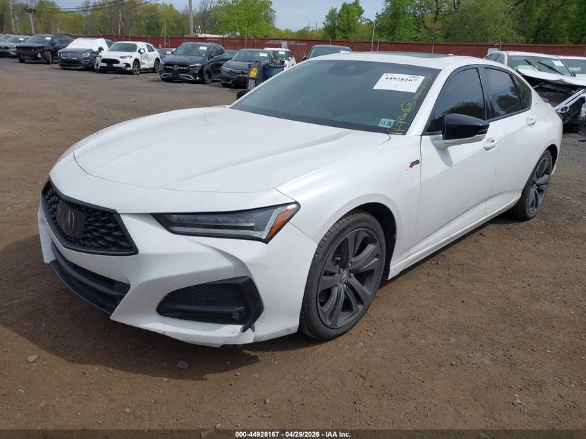 2023 ACURA TLX 2.0L I-4 DI, DOHC, V(VIN: 19UUB6F51PA005490